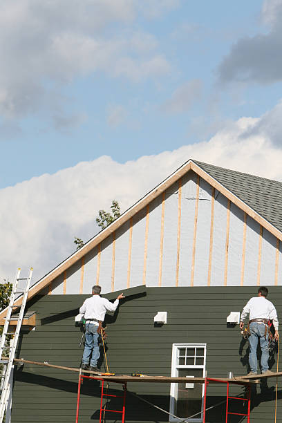 Best Property Management Cleanouts  in Marlette, MI